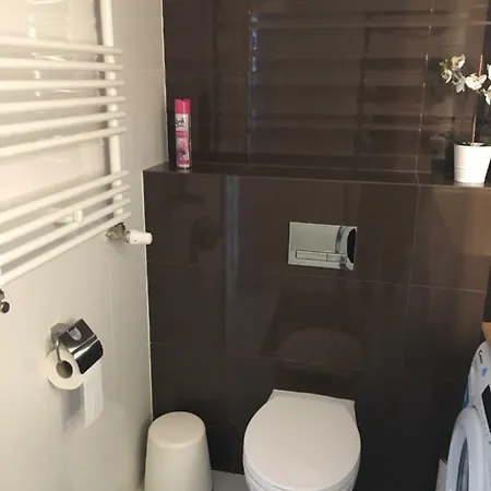 Bocian Apartment *